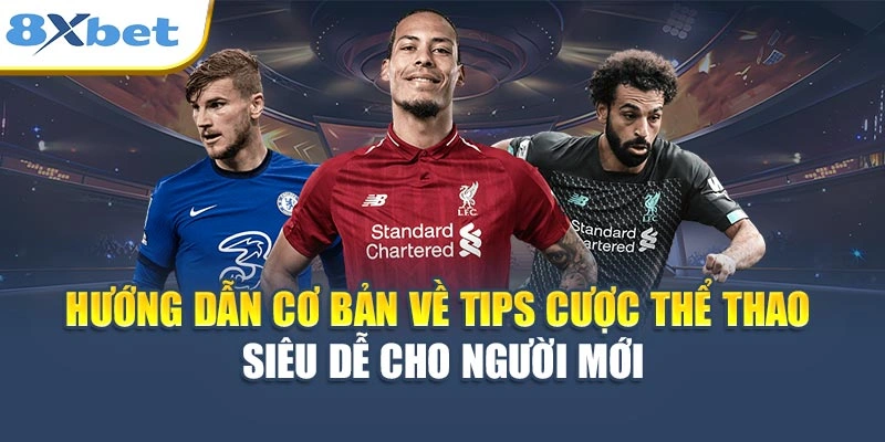 Hướng dẫn cơ bản về tips cược thể thao siêu dễ cho người mới