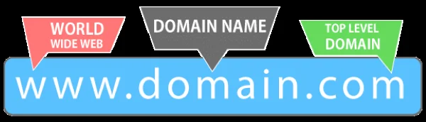 Sơ đồ cấu trúc địa chỉ web www.domain.com gồm World Wide Web, tên miền và tên miền cấp cao nhất