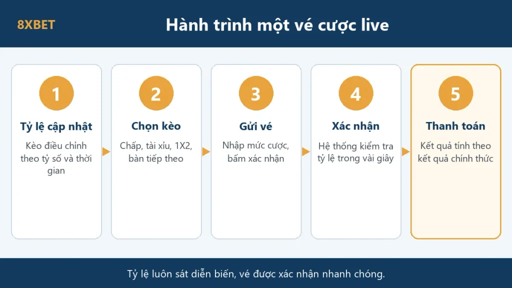 Sơ đồ hành trình một vé cược live trên 8xbet: tỷ lệ cập nhật, chọn kèo, gửi vé, xác nhận, thanh toán